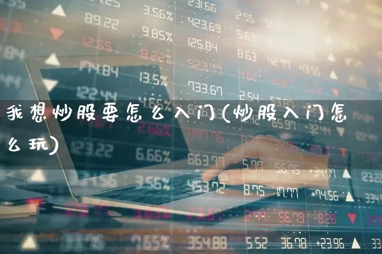 我想炒股要怎么入门(炒股入门怎么玩)_https://www.haiwangdasha.com_创业板_第1张