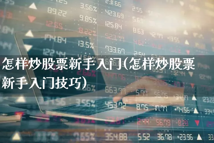 怎样炒股票新手入门(怎样炒股票新手入门技巧)_https://www.haiwangdasha.com_创业板_第1张