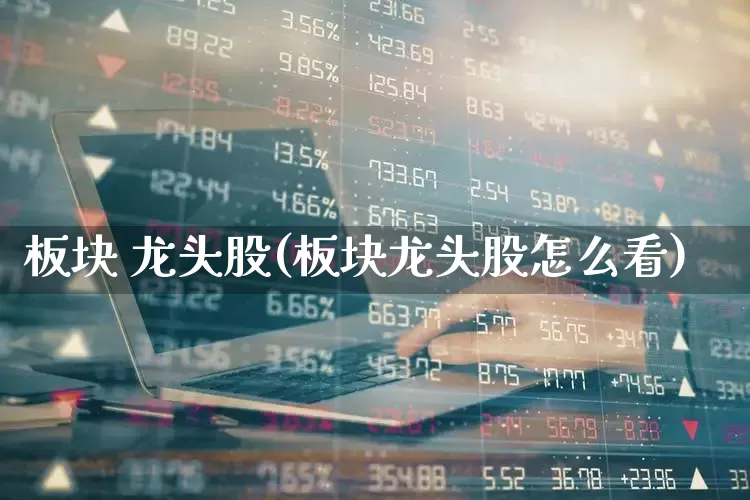板块 龙头股(板块龙头股怎么看)_https://www.haiwangdasha.com_深交所_第1张