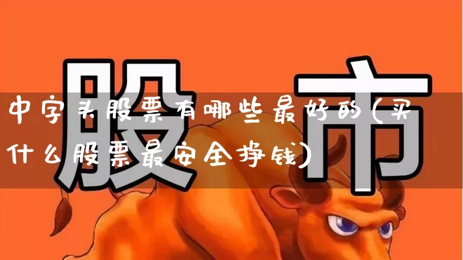 中字头股票有哪些最好的(买什么股票最安全挣钱)_https://www.haiwangdasha.com_创业板_第1张