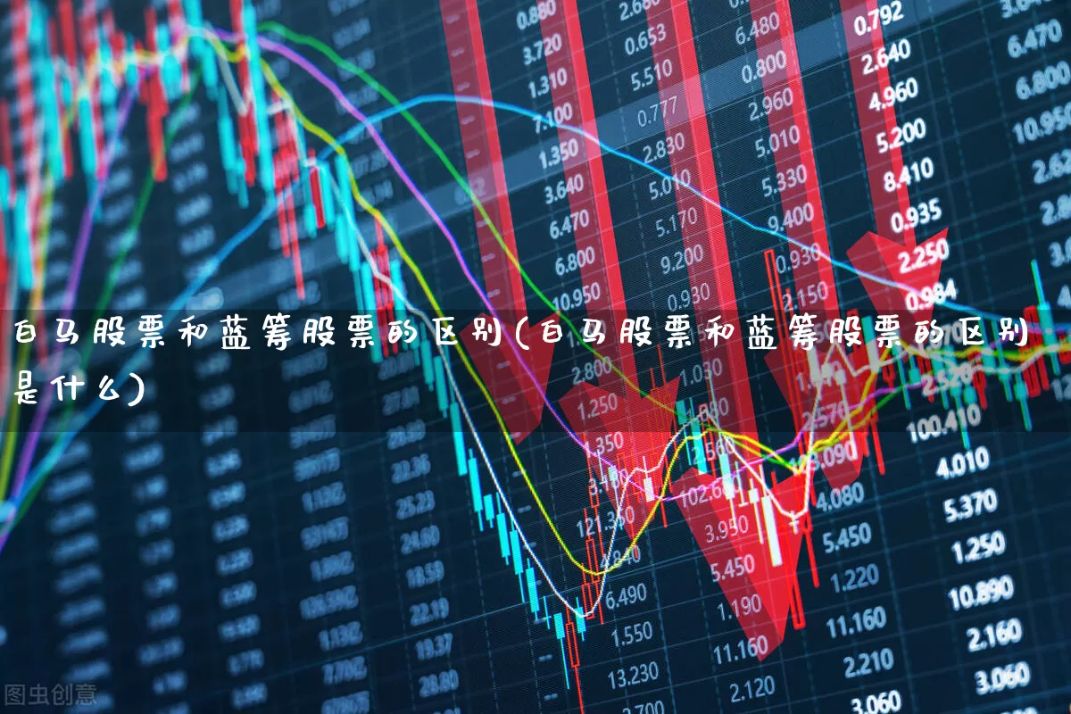 白马股票和蓝筹股票的区别(白马股票和蓝筹股票的区别是什么)_https://www.haiwangdasha.com_深交所_第1张