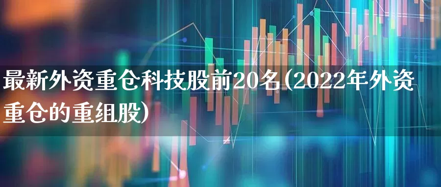 最新外资重仓科技股前20名(2022年外资重仓的重组股)_https://www.haiwangdasha.com_深交所_第1张