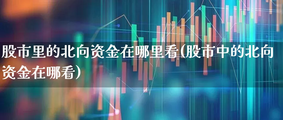 股市里的北向资金在哪里看(股市中的北向资金在哪看)_https://www.haiwangdasha.com_科创板_第1张