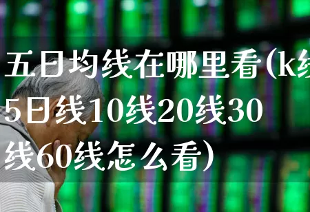 五日均线在哪里看(k线5日线10线20线30线60线怎么看)_https://www.haiwangdasha.com_科创板_第1张