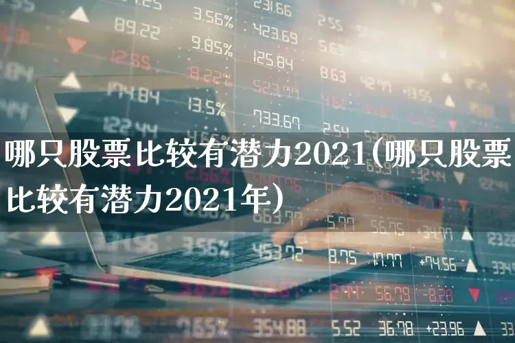 哪只股票比较有潜力2021(哪只股票比较有潜力2021年)_https://www.haiwangdasha.com_上交所_第1张