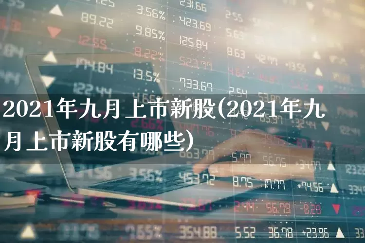 2021年九月上市新股(2021年九月上市新股有哪些)_https://www.haiwangdasha.com_上交所_第1张