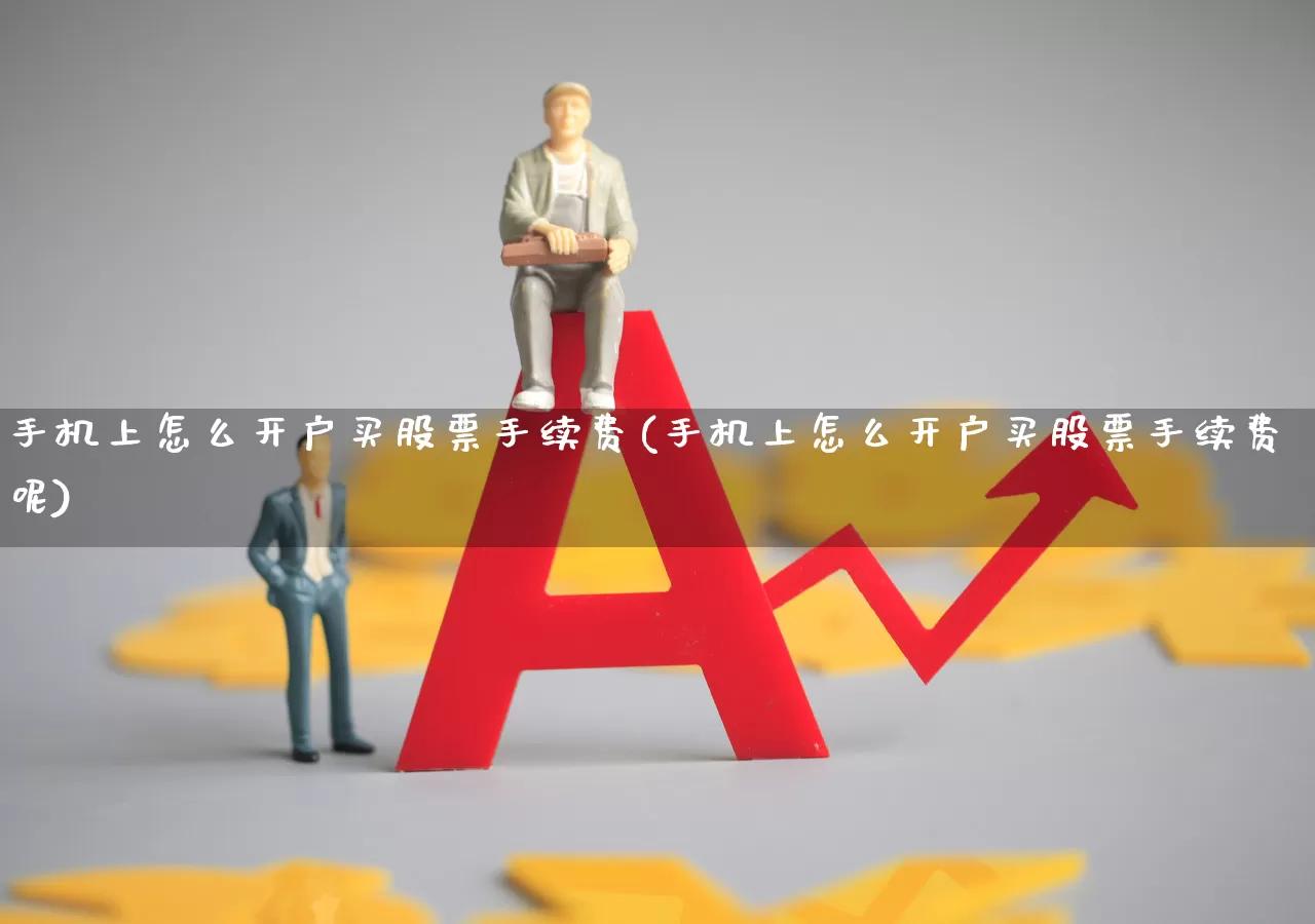 手机上怎么开户买股票手续费(手机上怎么开户买股票手续费呢)_https://www.haiwangdasha.com_上交所_第1张