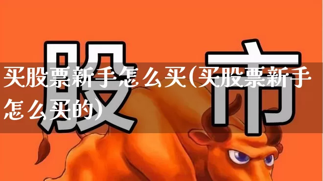 买股票新手怎么买(买股票新手怎么买的)_https://www.haiwangdasha.com_上交所_第1张