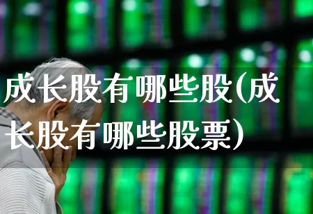成长股有哪些股(成长股有哪些股票)_https://www.haiwangdasha.com_科创板_第1张