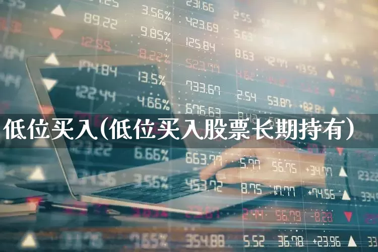 低位买入(低位买入股票长期持有)_https://www.haiwangdasha.com_创业板_第1张