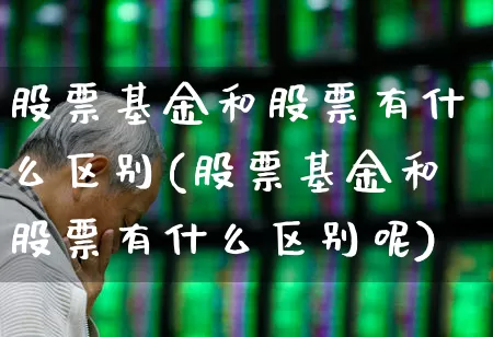 股票基金和股票有什么区别(股票基金和股票有什么区别呢)_https://www.haiwangdasha.com_创业板_第1张