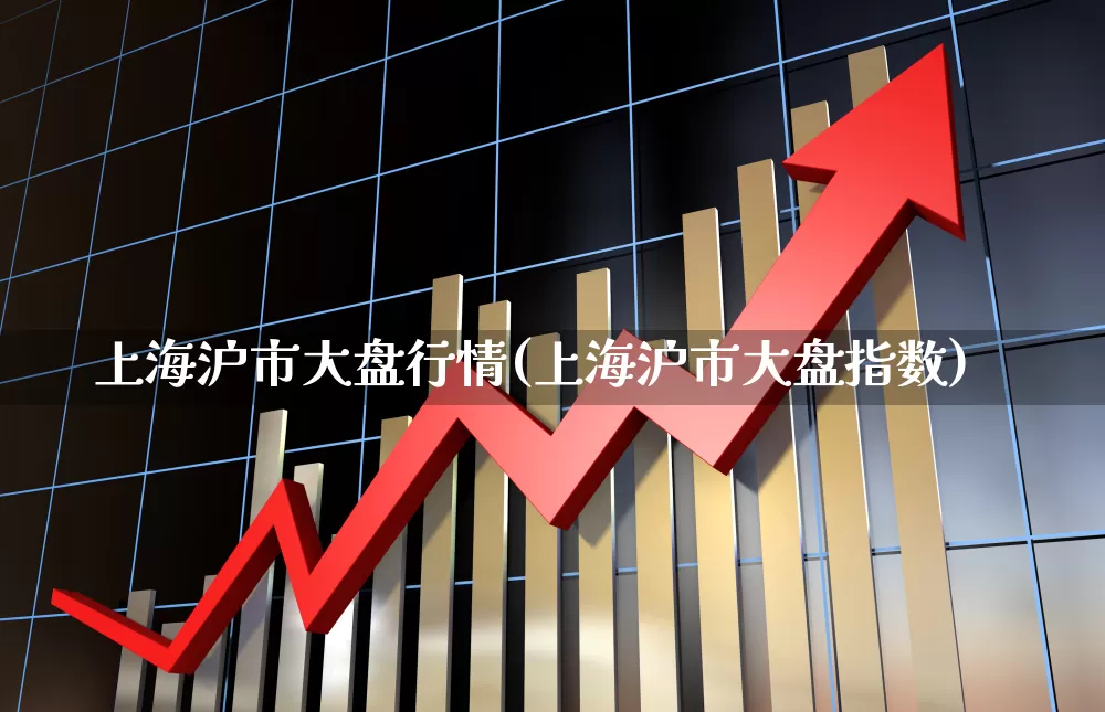 上海沪市大盘行情(上海沪市大盘指数)_https://www.haiwangdasha.com_科创板_第1张
