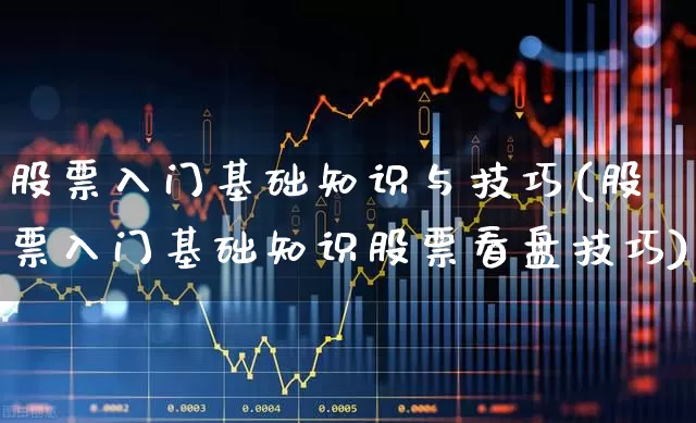 股票入门基础知识与技巧(股票入门基础知识股票看盘技巧)_https://www.haiwangdasha.com_北交所_第1张