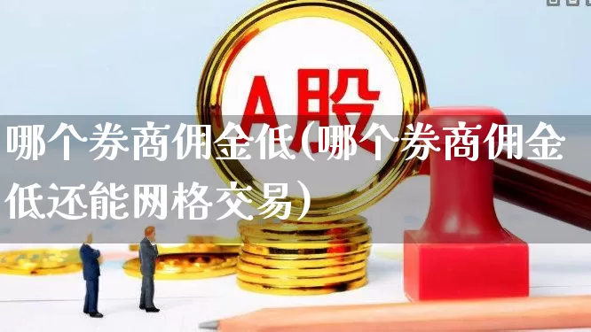 哪个券商佣金低(哪个券商佣金低还能网格交易)_https://www.haiwangdasha.com_北交所_第1张