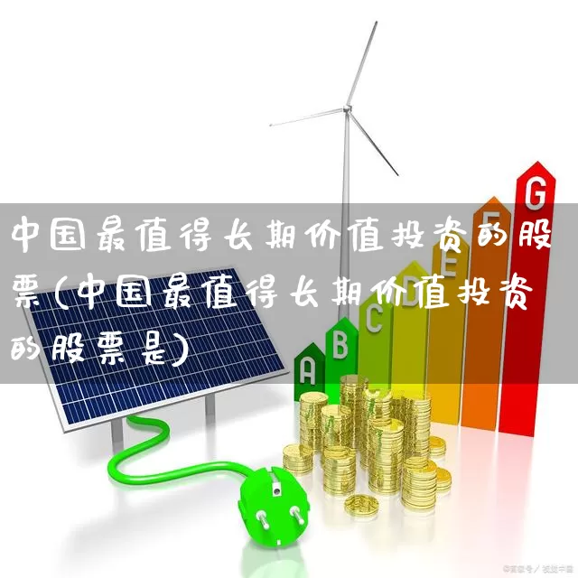 中国最值得长期价值投资的股票(中国最值得长期价值投资的股票是)_https://www.haiwangdasha.com_深交所_第1张