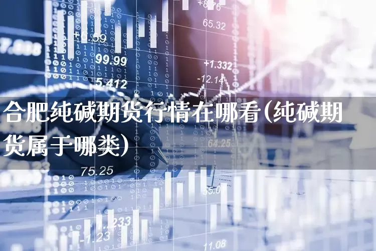 合肥纯碱期货行情在哪看(纯碱期货属于哪类)_https://www.haiwangdasha.com_上期能源_第1张