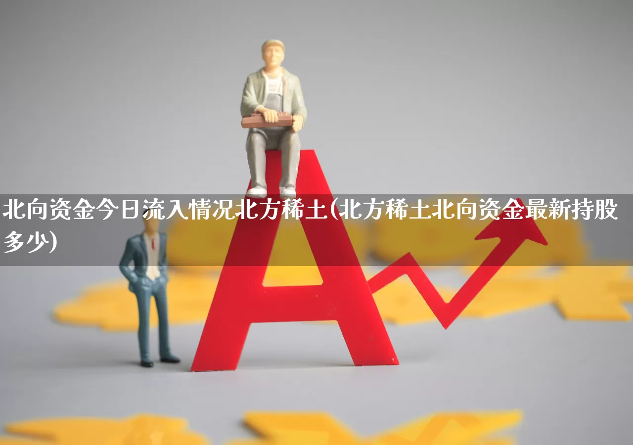 北向资金今日流入情况北方稀土(北方稀土北向资金最新持股多少)_https://www.haiwangdasha.com_上交所_第1张