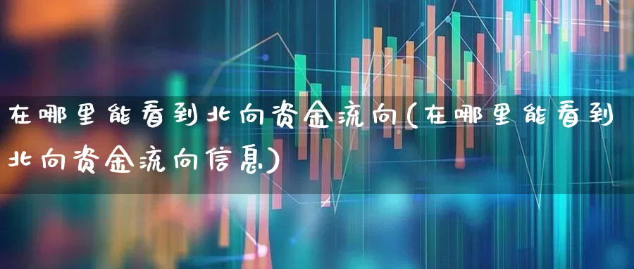 在哪里能看到北向资金流向(在哪里能看到北向资金流向信息)_https://www.haiwangdasha.com_科创板_第1张