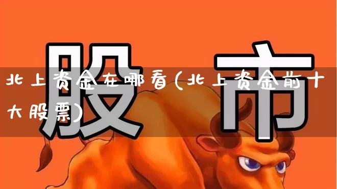 北上资金在哪看(北上资金前十大股票)_https://www.haiwangdasha.com_科创板_第1张