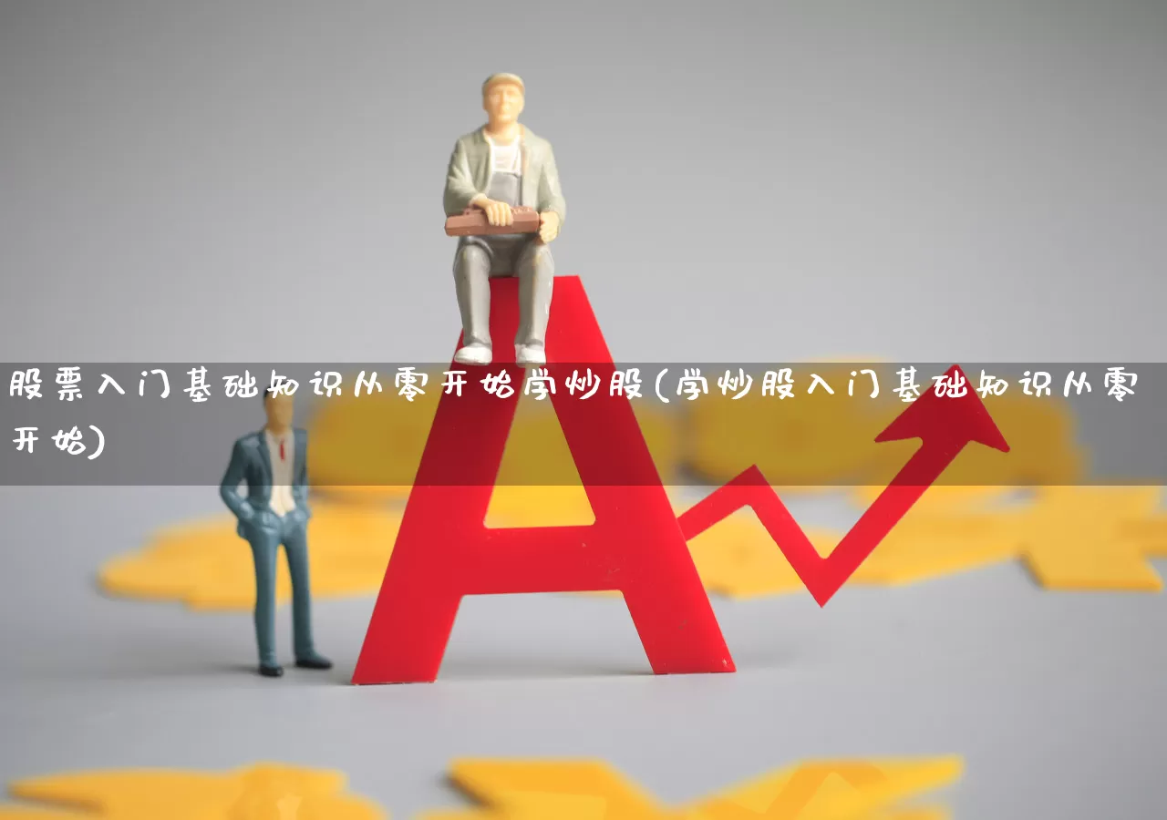 股票入门基础知识从零开始学炒股(学炒股入门基础知识从零开始)_https://www.haiwangdasha.com_科创板_第1张