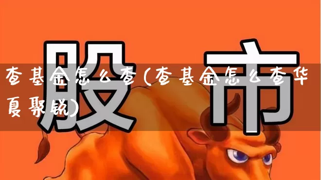 查基金怎么查(查基金怎么查华夏聚锐)_https://www.haiwangdasha.com_上交所_第1张