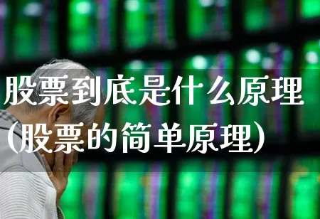 股票到底是什么原理(股票的简单原理)_https://www.haiwangdasha.com_创业板_第1张