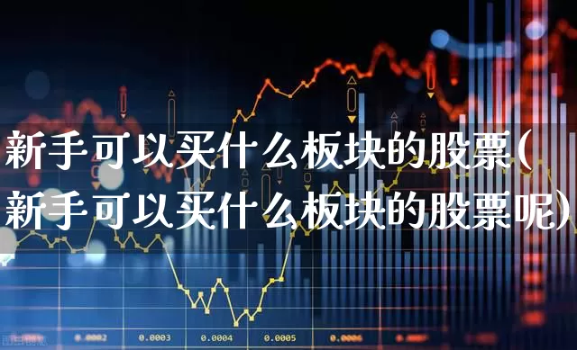 新手可以买什么板块的股票(新手可以买什么板块的股票呢)_https://www.haiwangdasha.com_科创板_第1张