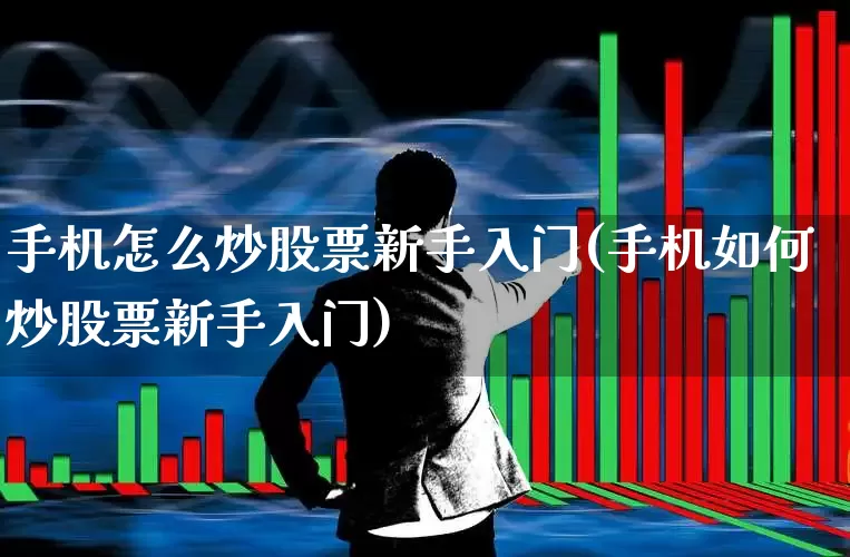 手机怎么炒股票新手入门(手机如何炒股票新手入门)_https://www.haiwangdasha.com_上交所_第1张
