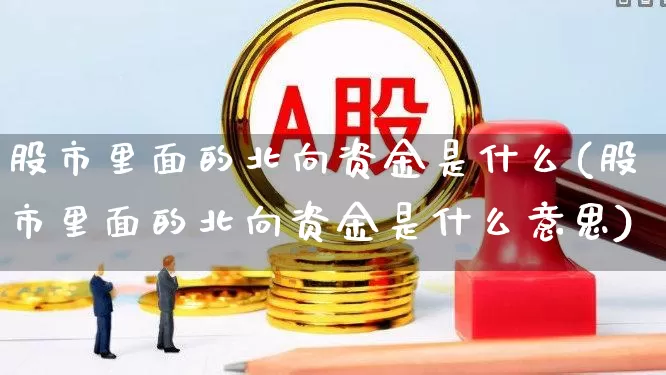 股市里面的北向资金是什么(股市里面的北向资金是什么意思)_https://www.haiwangdasha.com_科创板_第1张