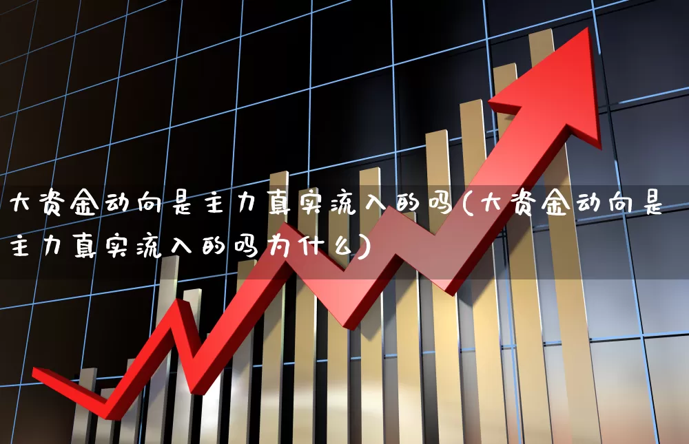 大资金动向是主力真实流入的吗(大资金动向是主力真实流入的吗为什么)_https://www.haiwangdasha.com_北交所_第1张