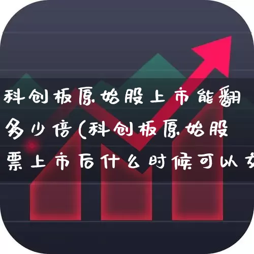 科创板原始股上市能翻多少倍(科创板原始股票上市后什么时候可以交易)_https://www.haiwangdasha.com_上交所_第1张