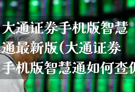 大通证券手机版智慧通最新版(大通证券手机版智慧通如何查佣金)_https://www.haiwangdasha.com_创业板_第1张