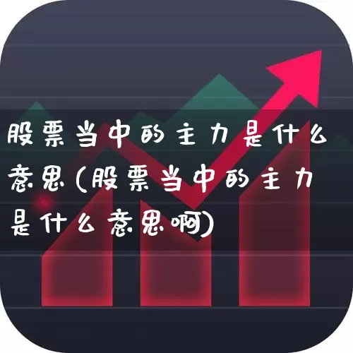 股票当中的主力是什么意思(股票当中的主力是什么意思啊)_https://www.haiwangdasha.com_科创板_第1张