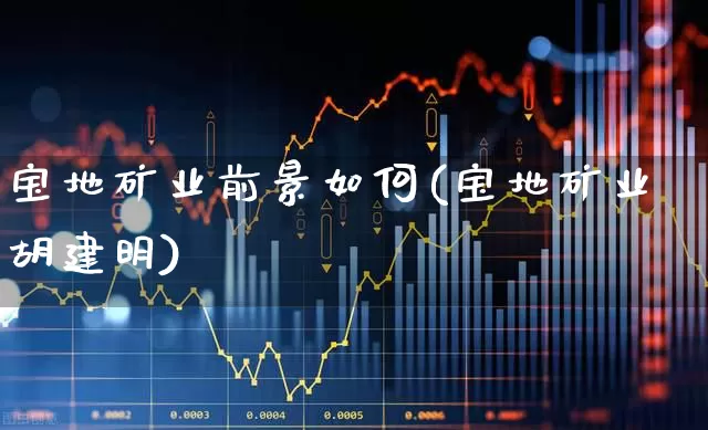 宝地矿业前景如何(宝地矿业胡建明)_https://www.haiwangdasha.com_北交所_第1张