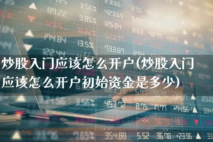 炒股入门应该怎么开户(炒股入门应该怎么开户初始资金是多少)_https://www.haiwangdasha.com_深交所_第1张