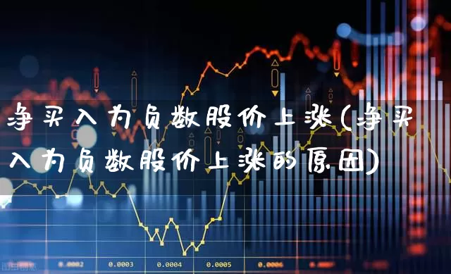 净买入为负数股价上涨(净买入为负数股价上涨的原因)_https://www.haiwangdasha.com_北交所_第1张