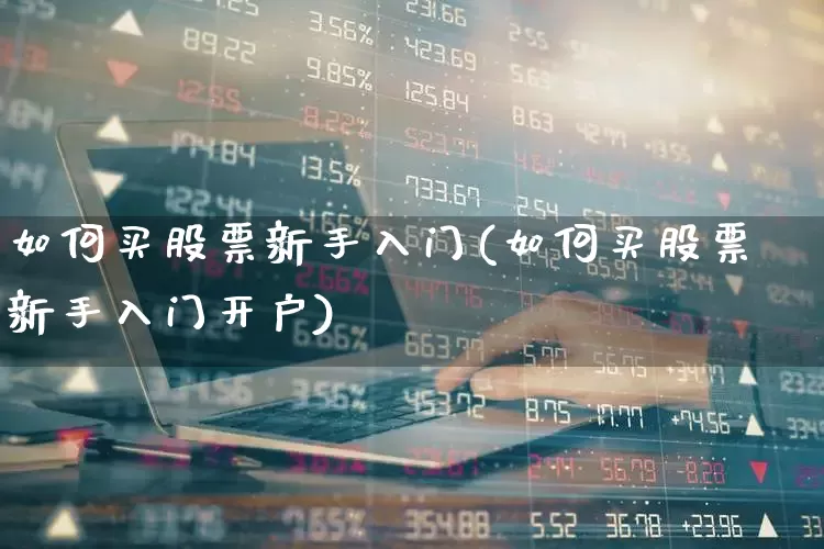 如何买股票新手入门(如何买股票新手入门开户)_https://www.haiwangdasha.com_科创板_第1张