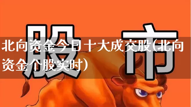 北向资金今日十大成交股(北向资金个股实时)_https://www.haiwangdasha.com_创业板_第1张