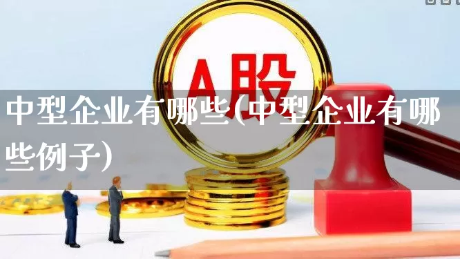 中型企业有哪些(中型企业有哪些例子)_https://www.haiwangdasha.com_广期所_第1张