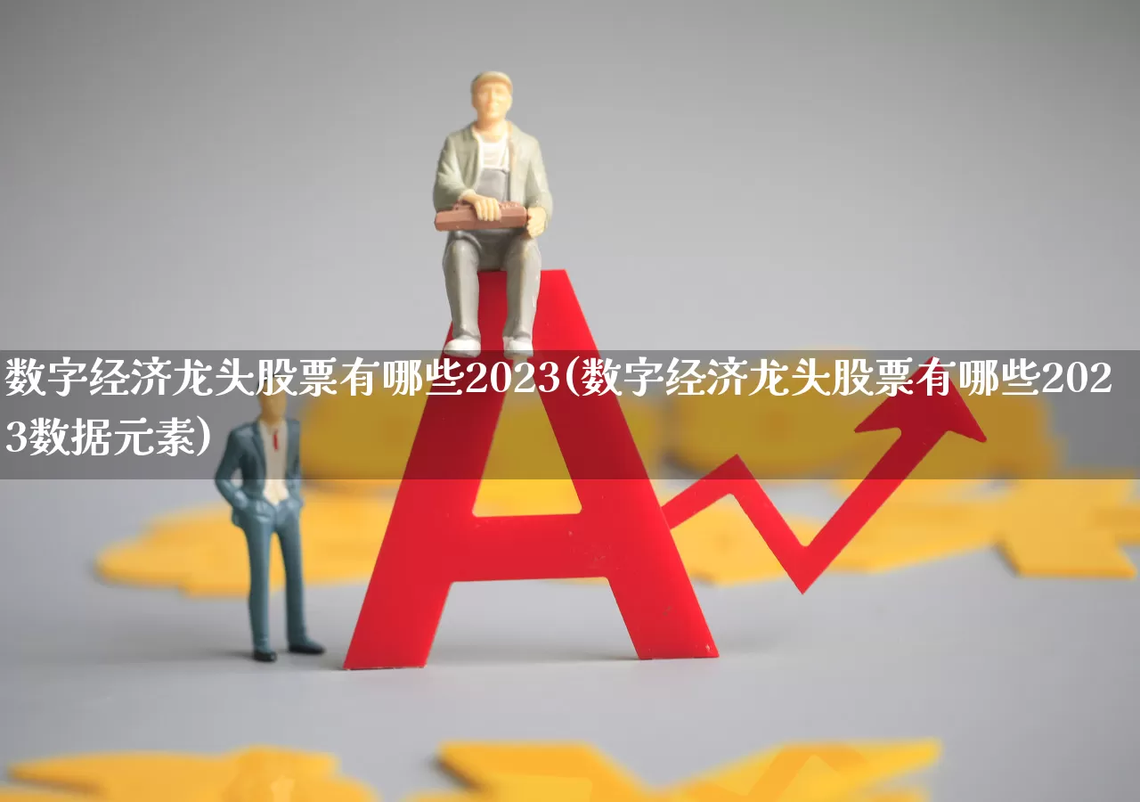 数字经济龙头股票有哪些2023(数字经济龙头股票有哪些2023数据元素)_https://www.haiwangdasha.com_上交所_第1张