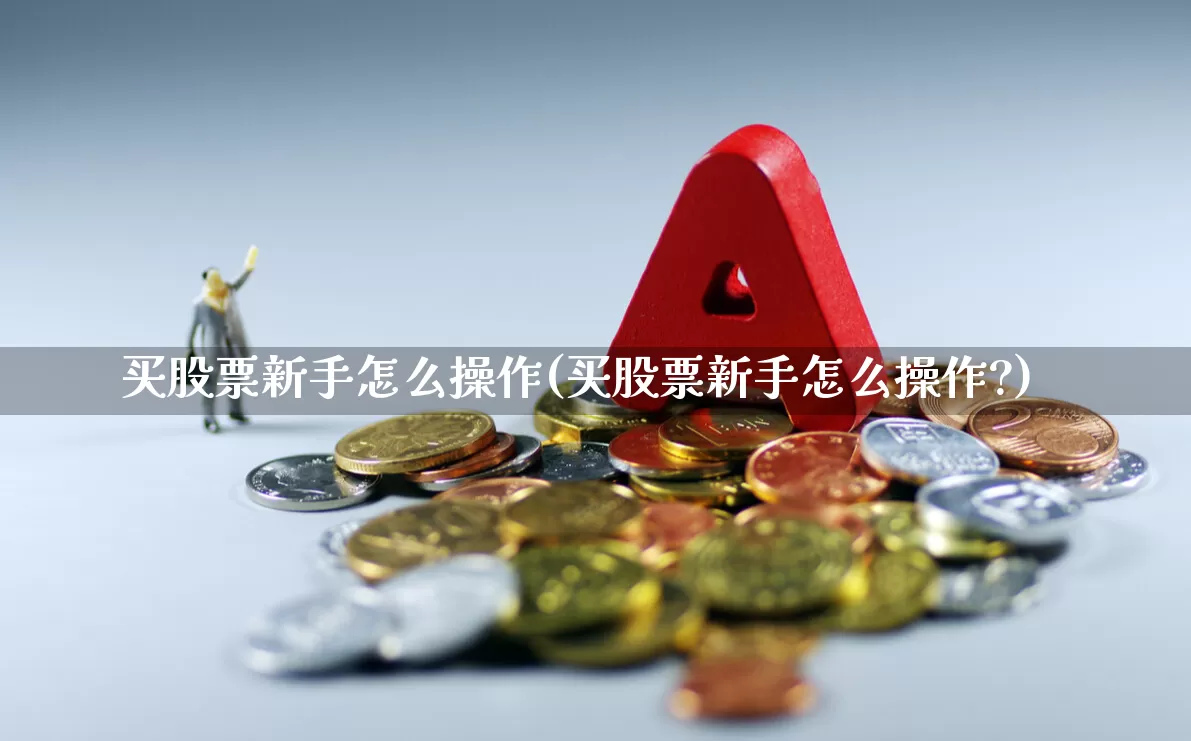 买股票新手怎么操作(买股票新手怎么操作?)_https://www.haiwangdasha.com_科创板_第1张