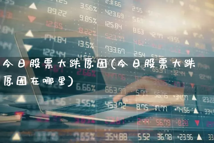 今日股票大跌原因(今日股票大跌原因在哪里)_https://www.haiwangdasha.com_上交所_第1张