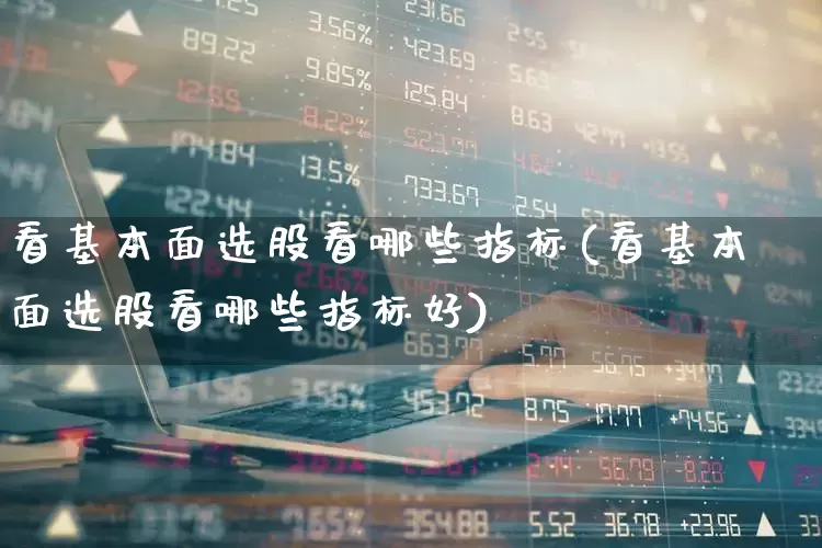 看基本面选股看哪些指标(看基本面选股看哪些指标好)_https://www.haiwangdasha.com_北交所_第1张