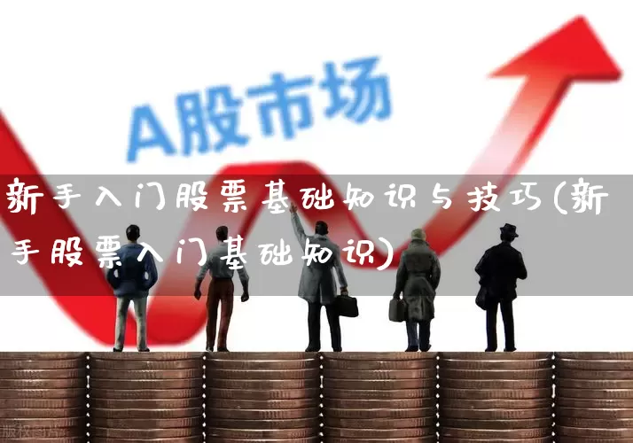 新手入门股票基础知识与技巧(新手股票入门基础知识)_https://www.haiwangdasha.com_创业板_第1张