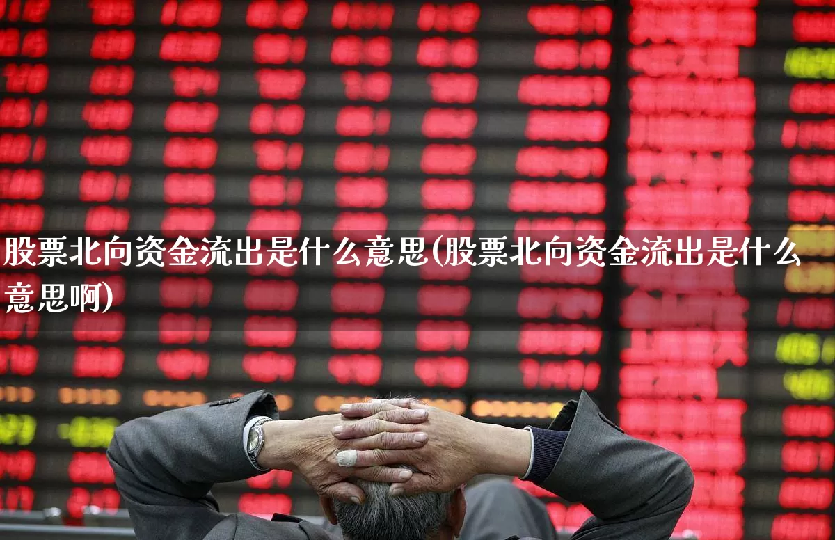 股票北向资金流出是什么意思(股票北向资金流出是什么意思啊)_https://www.haiwangdasha.com_深交所_第1张