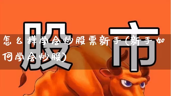 怎么样学会炒股票新手(新手如何学会炒股)_https://www.haiwangdasha.com_创业板_第1张