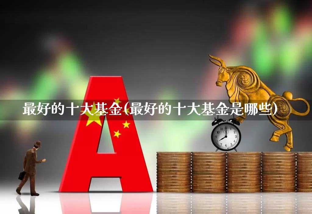最好的十大基金(最好的十大基金是哪些)_https://www.haiwangdasha.com_上交所_第1张