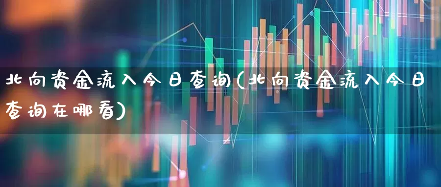北向资金流入今日查询(北向资金流入今日查询在哪看)_https://www.haiwangdasha.com_科创板_第1张