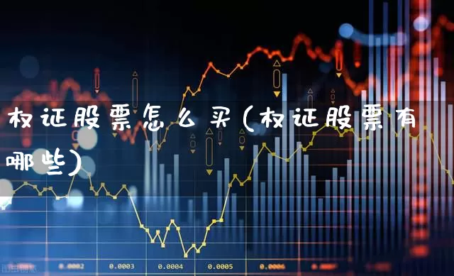 权证股票怎么买(权证股票有哪些)_https://www.haiwangdasha.com_北交所_第1张