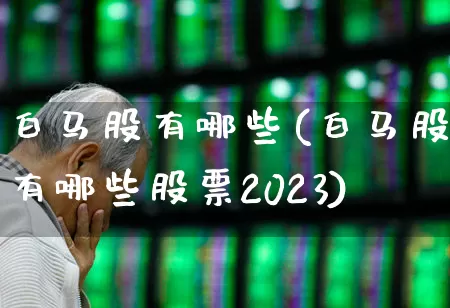 白马股有哪些(白马股有哪些股票2023)_https://www.haiwangdasha.com_北交所_第1张